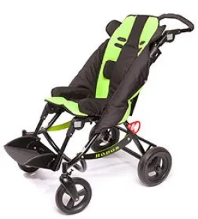 The Hodor Buggy